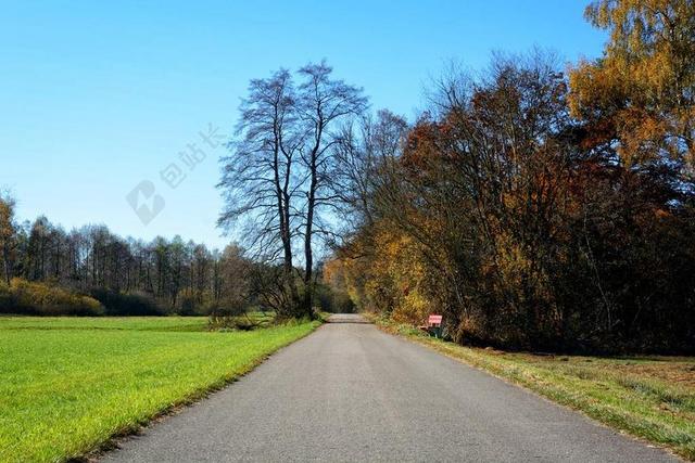 树木 秋季 离 道路 天空 景观 心情 秋天的颜色 草地