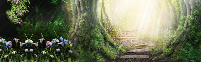 梦幻背景