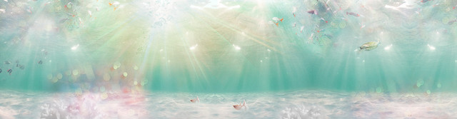 女装浪漫BANNER创意设计