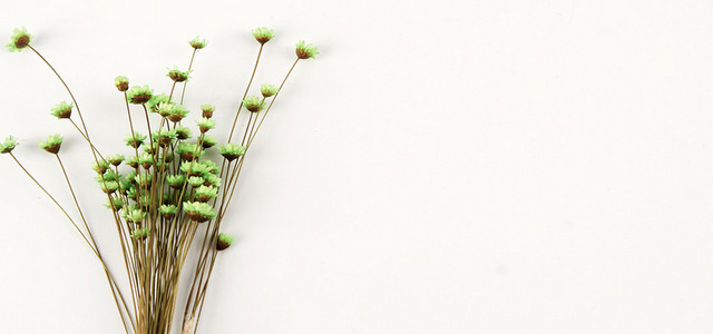碎花一束花小花