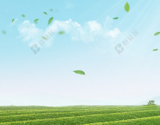 茶叶清新茶田直通车钻展背景