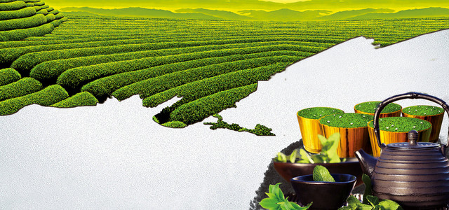 茶叶背景海报