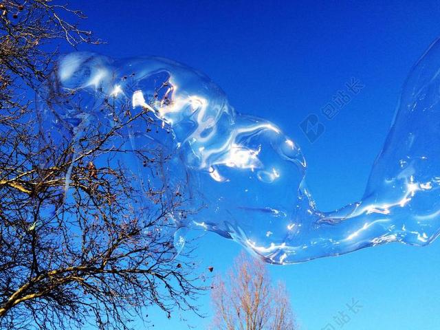 蓝色自然透明蓝天下的大树和气泡自然晶莹娱乐背景图片