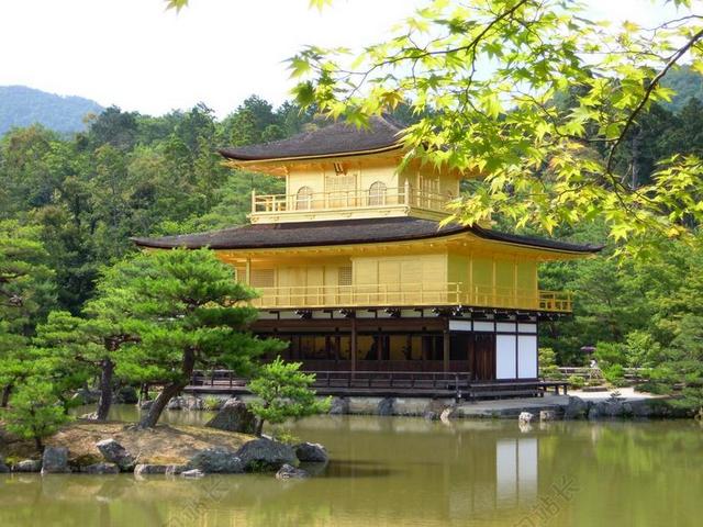 夏天 金阁寺 日本 京都府 神社