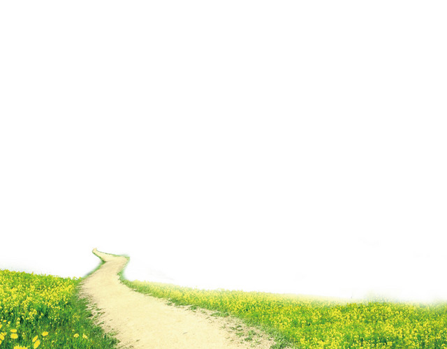 乡间小路草地