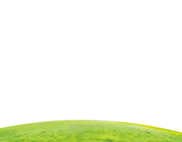 草地