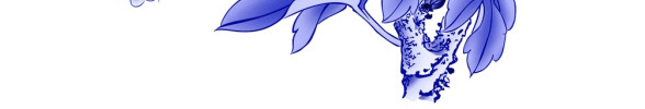青花瓷牡丹纹