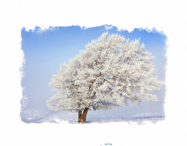 小雪