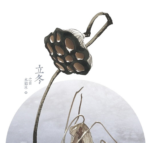 立冬莲藕