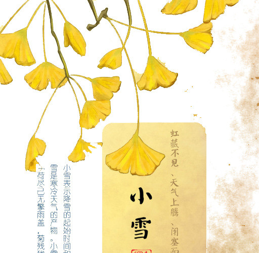 卡通银杏叶