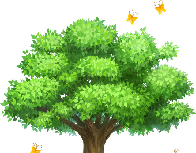 树 树木 木 植物