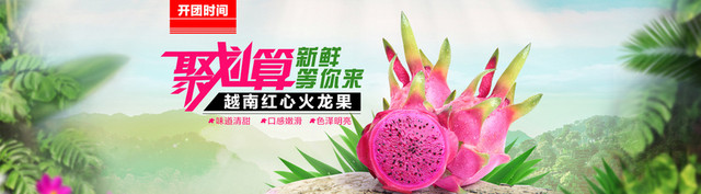 水果火龙果背景