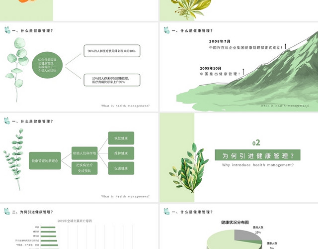 浅绿色 简约 小清新风格 健康管理 培训课件 PPT健康管理8