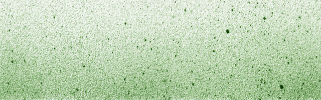 粒子BANNER