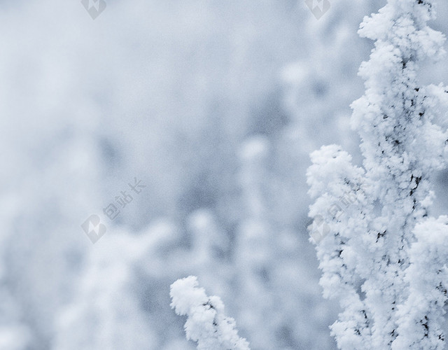 雪景雪花冬至简约背景