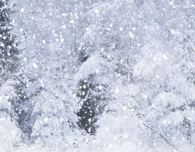 冬天浪漫雪景H5背景
