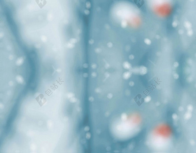 冬天雪花覆盖的花H5背景