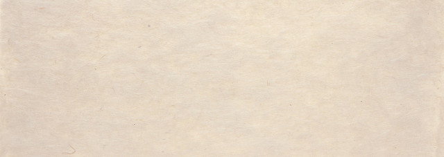 纸纹背景BANNER