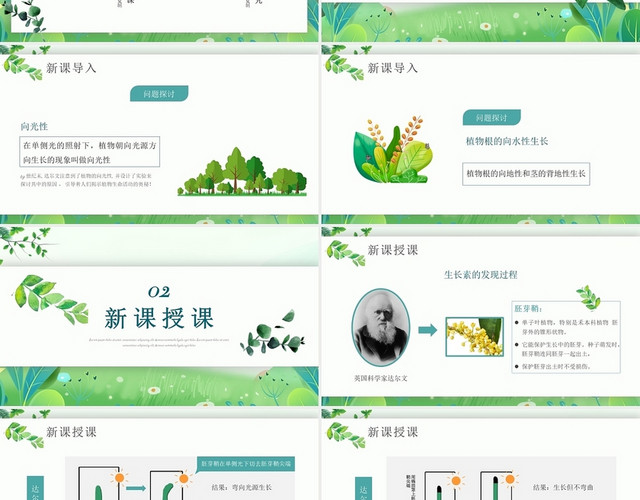 绿色卡通植物生长生物说课课件PPT模板