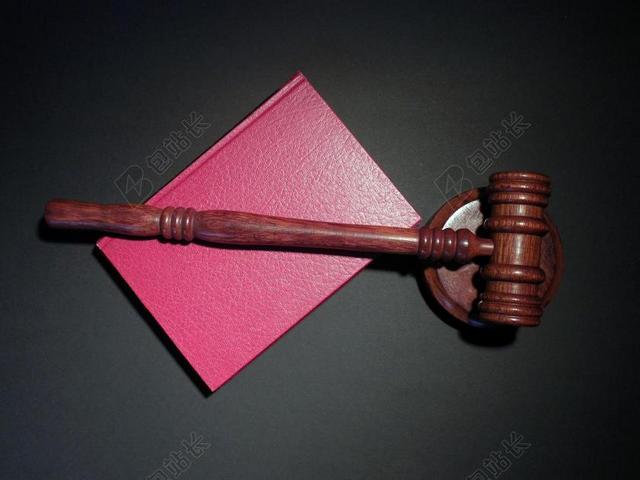 锤 法院 法官 正义 法律 司法 子句 段 判例法 判断