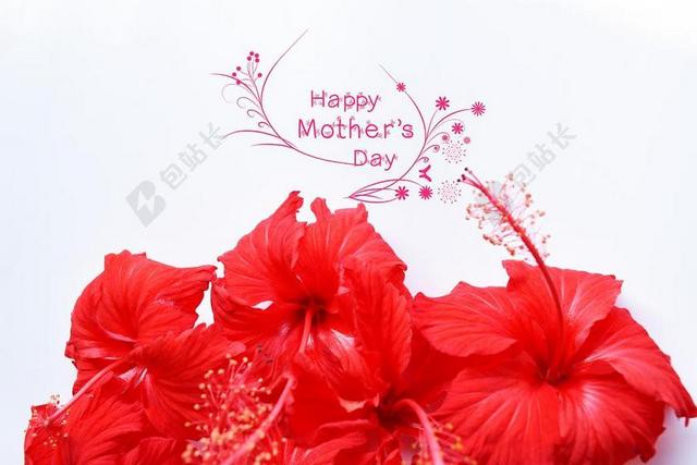 广告艺术母情节快乐祝福花束宣传背景图片