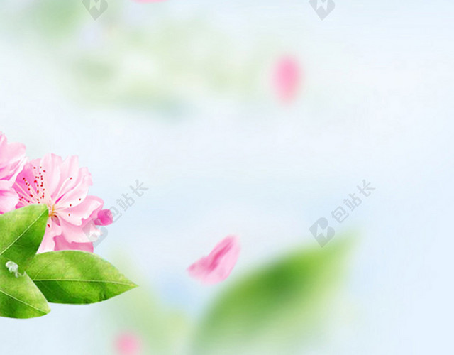 小清新桃花背景素材H5背景