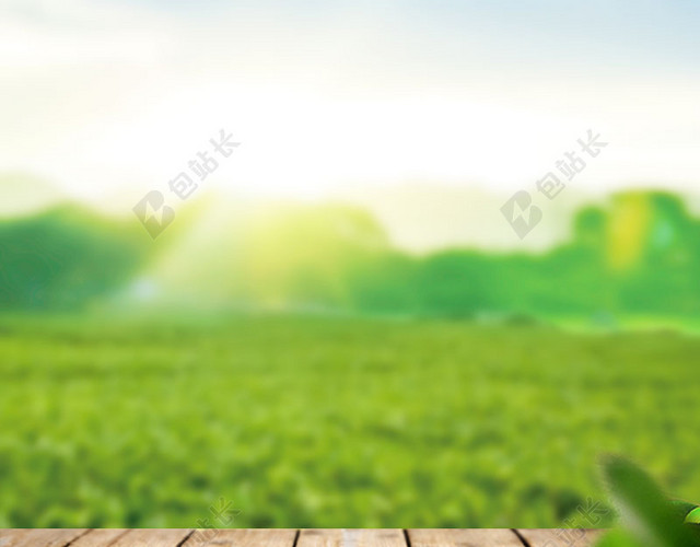 绿色草地橄榄油食品促销主图背景