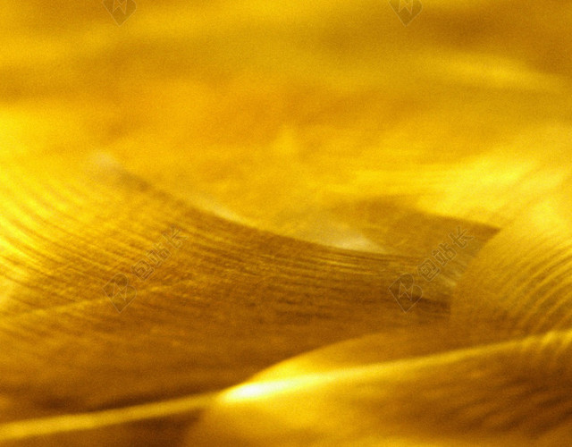 金色纹理H5背景