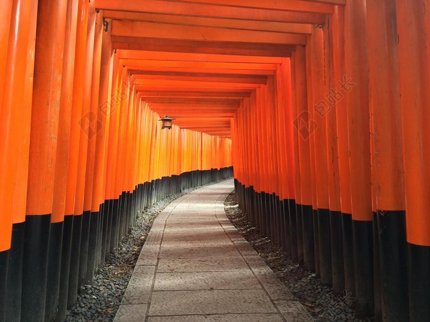 神社 伊纳里 路径 寺 通路 宗教 日本 京都 神道 伏见