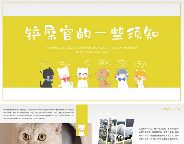 卡通画册风铲屎官养猫知识介绍PPT课件铲屎官养猫须知小科普