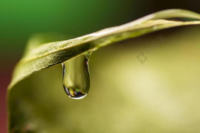 下降 水 绿色 一滴水 蓝色 液体 雨 清洁 泡沫 湿