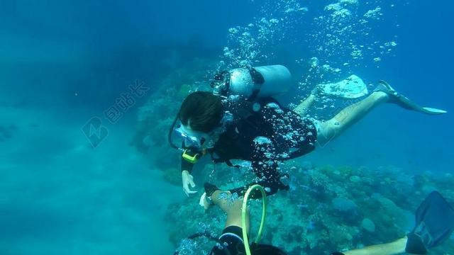 跳水 海 水下 水 蓝色 夏天 海洋 潜水 鱼 深 水肺