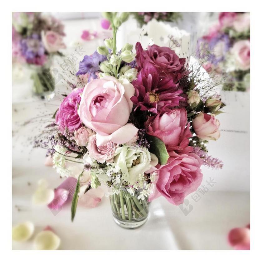 植物美丽的粉色花束背景图片