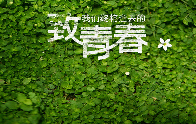 致青春海报