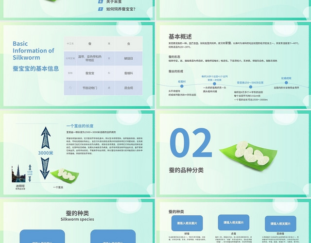 绿色卡通动漫养殖蚕教程PPT模板