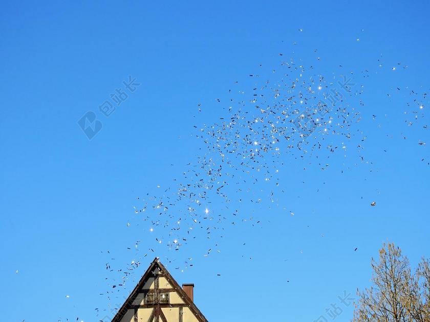 蓝色建筑唯美欧洲房屋海鸥大雁背景图片
