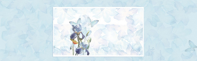 淘宝 店招 BANNER 背景