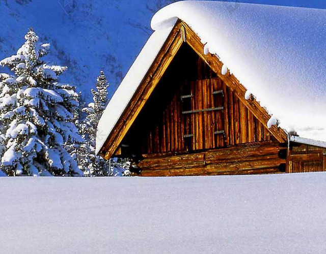 冬季的雪超清H5背景