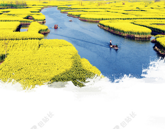 油菜花旅游海报背景