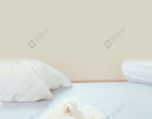 可爱萌猫咪H5动物背景