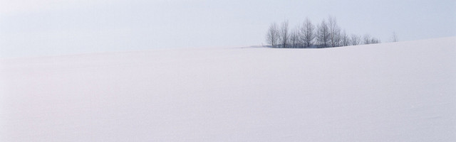 雪景背景图
