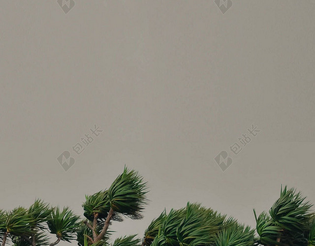简约文艺疾风H5背景
