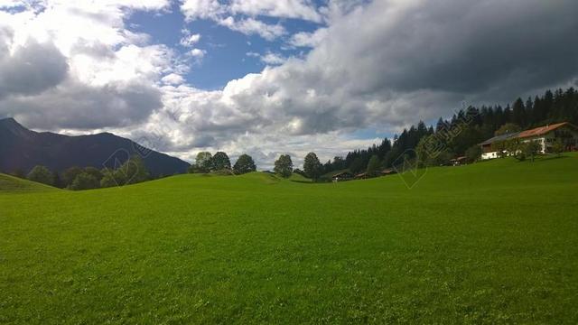 牧场 阿尔姆 巴伐利亚 高山 高山草甸 农业 全景