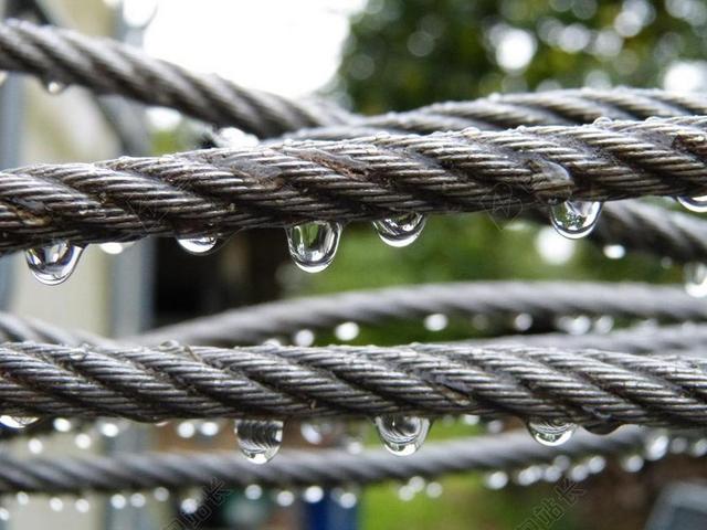 静物取景钢丝绳钢索下雨天雨滴水滴凝结背景图片