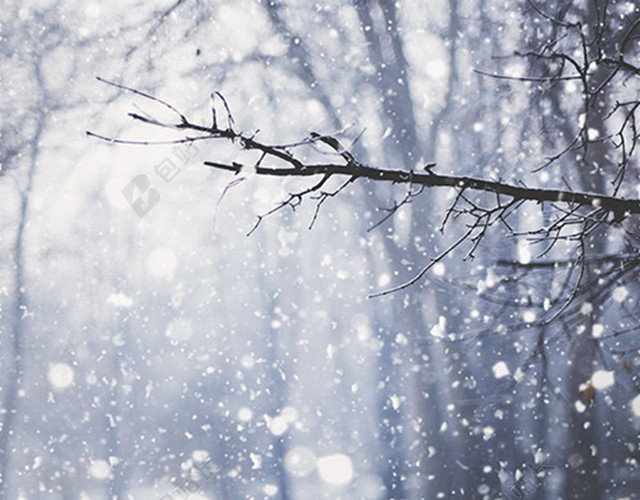 唯美雪景背景