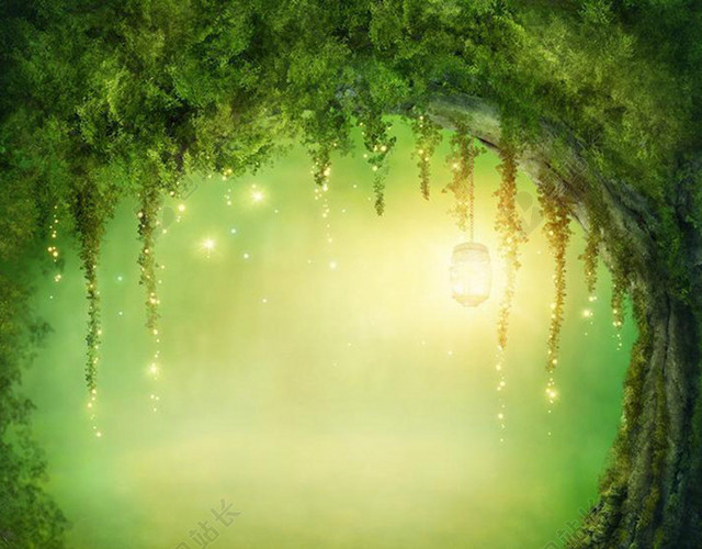 神秘森林背景