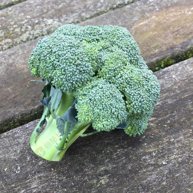 绿色餐饮简单自然西兰花背景图片