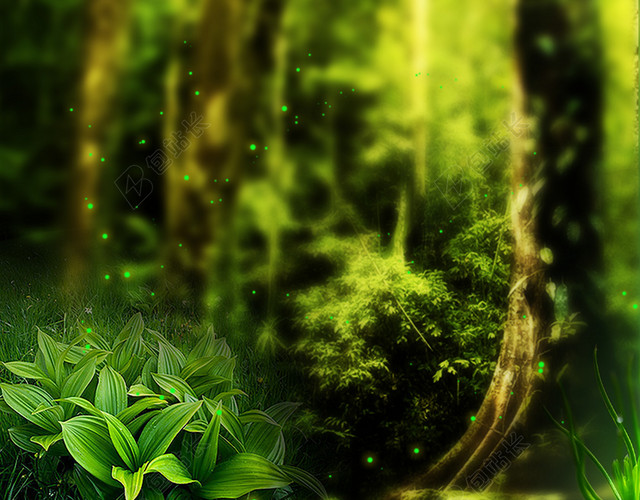 绿色梦幻森林背景