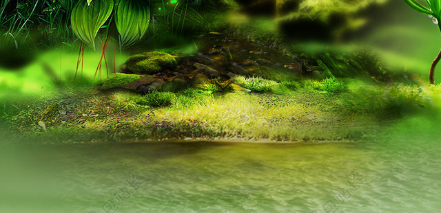 绿色梦幻森林背景