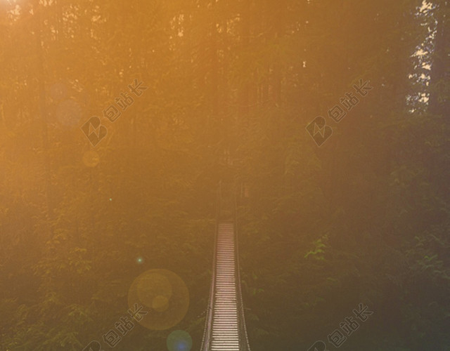 梦幻森林户外活动背景